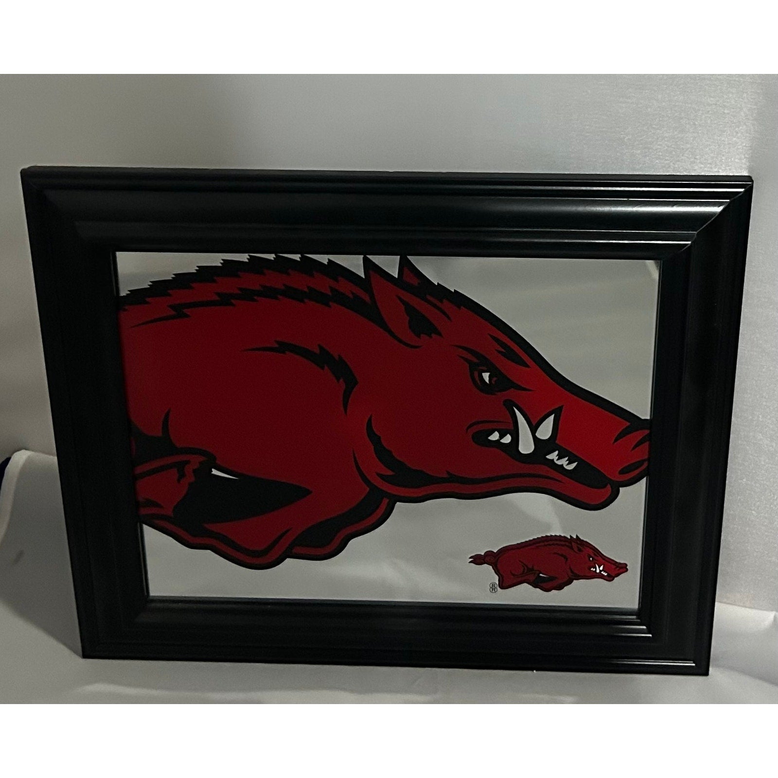 Arkansas Razorback ~ Sign & Fly Swatter Package