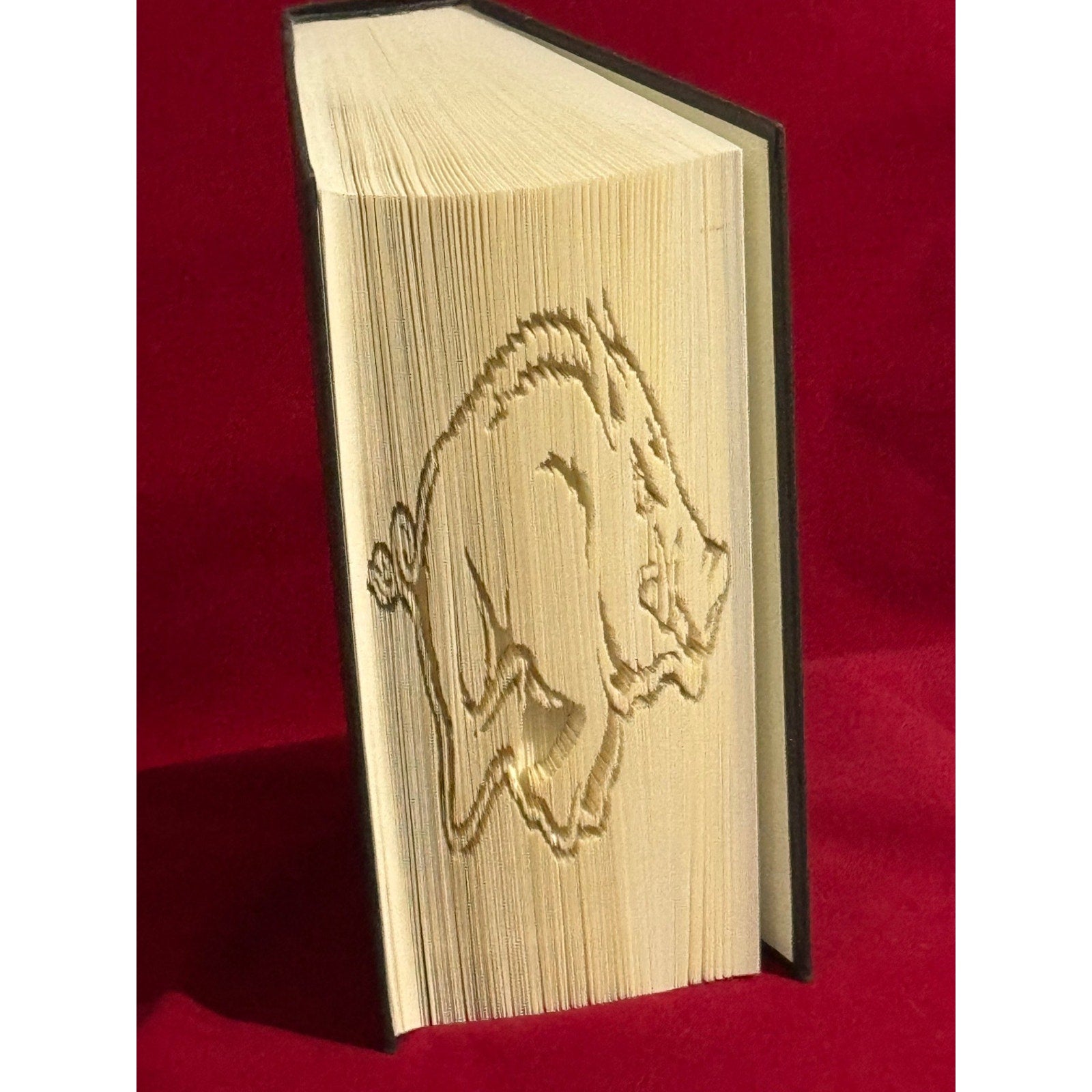 Arkansas Razorbacks - Hand folded book art