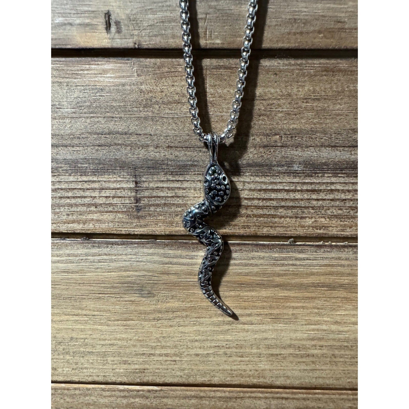 24' Stainless Chain with Stainless Snake Pendant