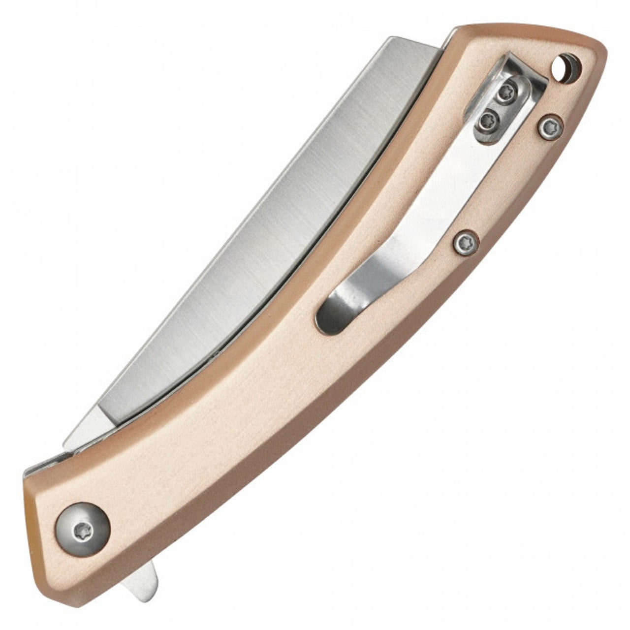 Buckshot ~ 7.75" Gold Cleaver Pocket Knife~ PBK252CH