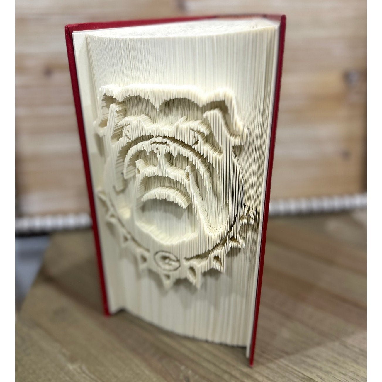 Handcrafted Upcycled ~ Folded Book Art ~ Georgia 'Dawgs'