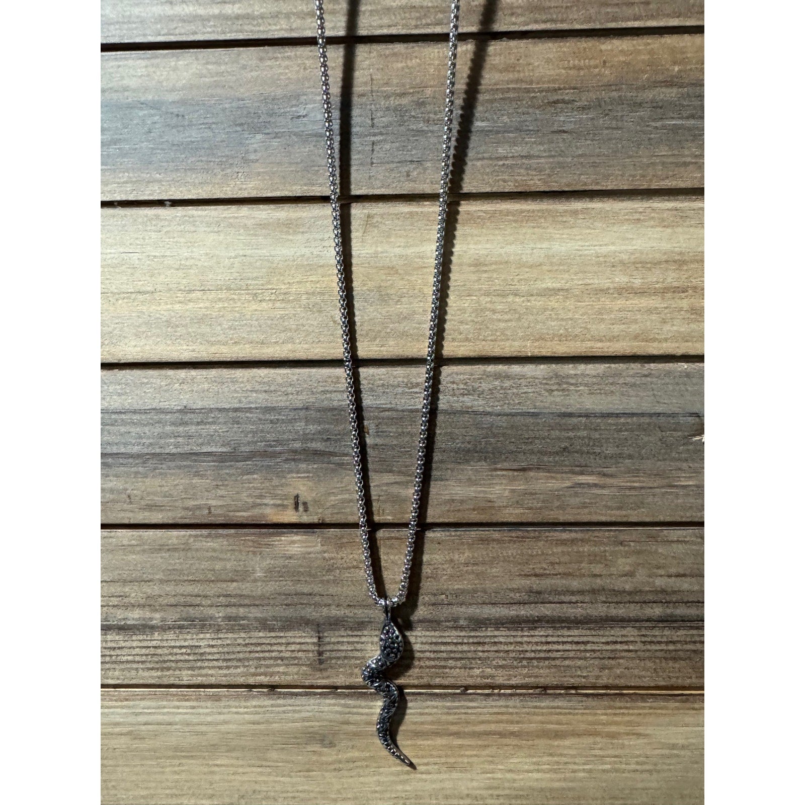 24' Stainless Chain with Stainless Snake Pendant