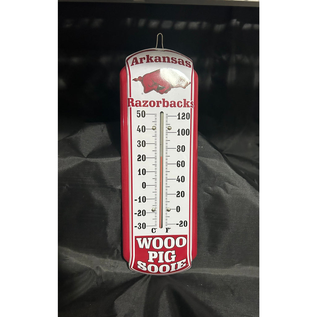 Arkansas Razorback ~ Sign & Fly Swatter Package