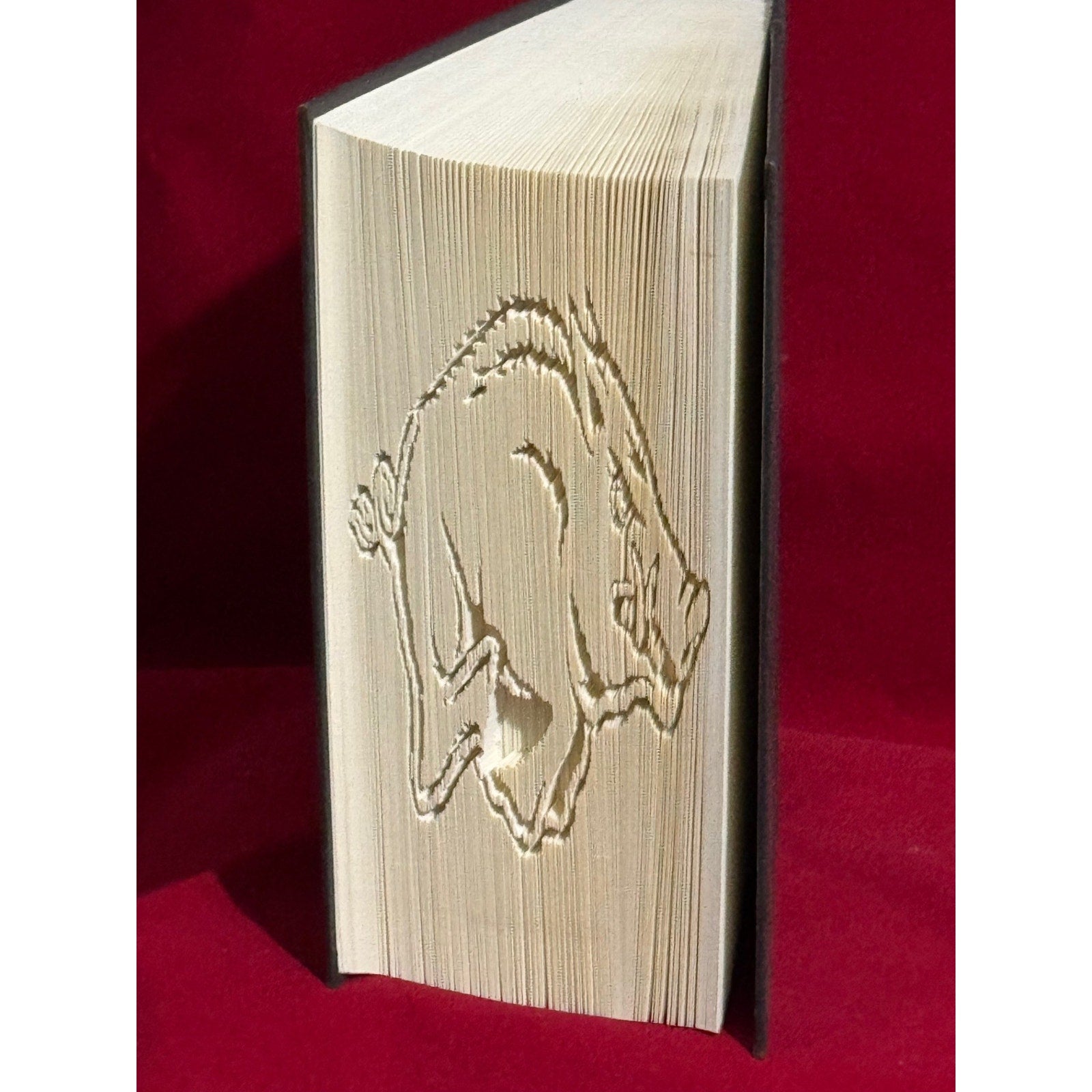 Arkansas Razorbacks - Hand folded book art