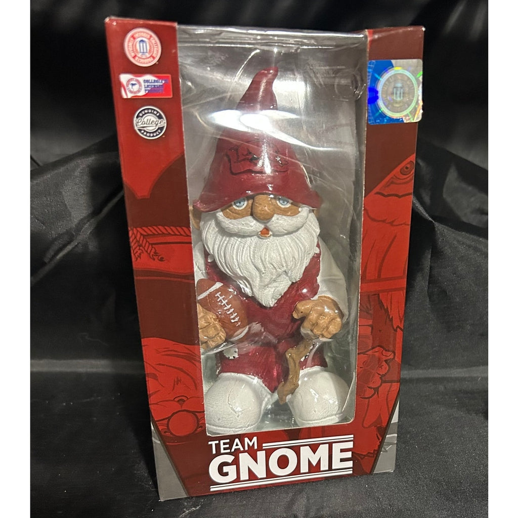 Arkansas Razorback ~ Desk Ornament Package